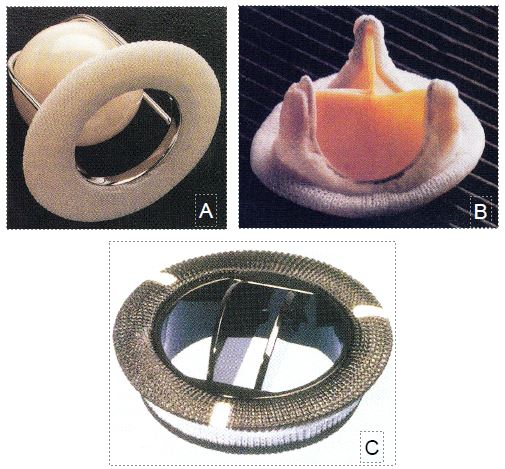 fig1 1en