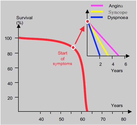 Fig11 110 en