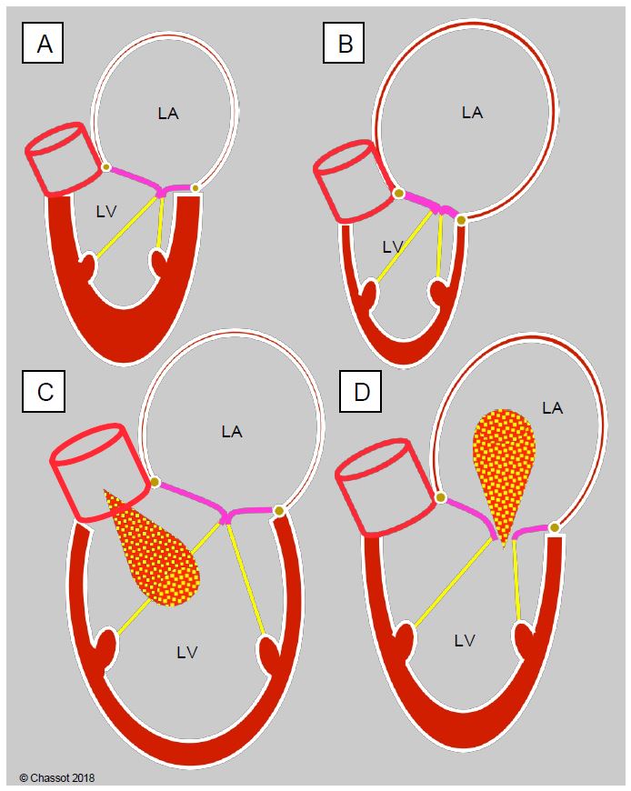 Fig11 14 en