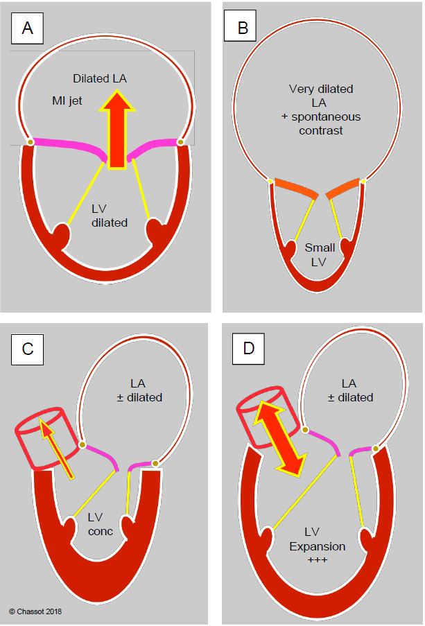 Fig11 164 en