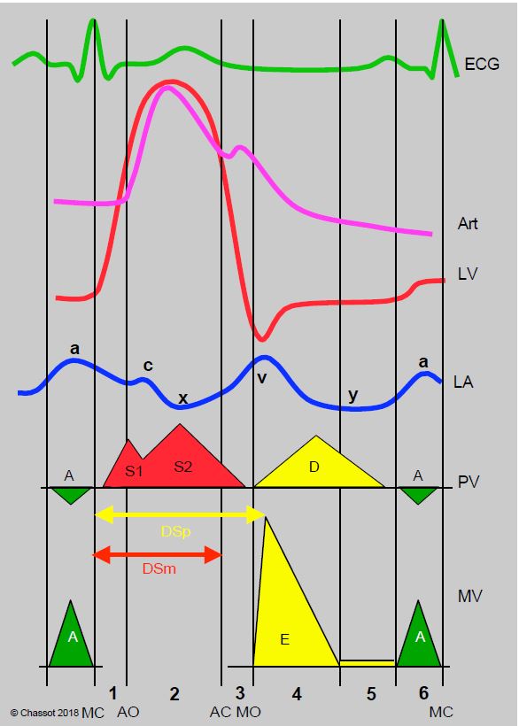 Fig11 20 en