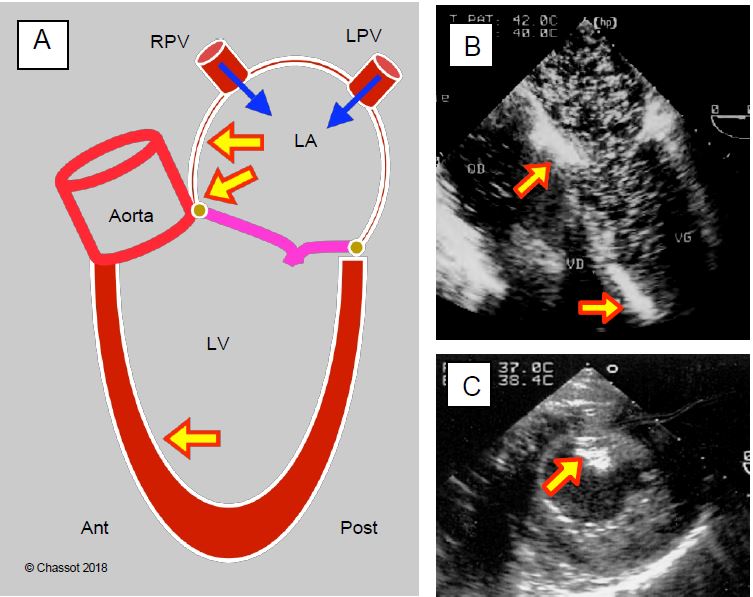 Fig11 29 en