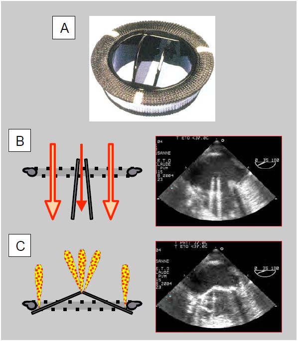 Fig11 36 en