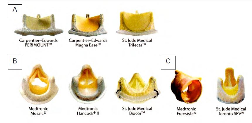 Fig11 37 en