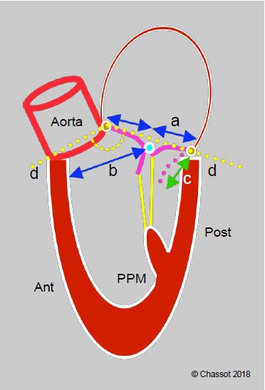 Fig11 49 en