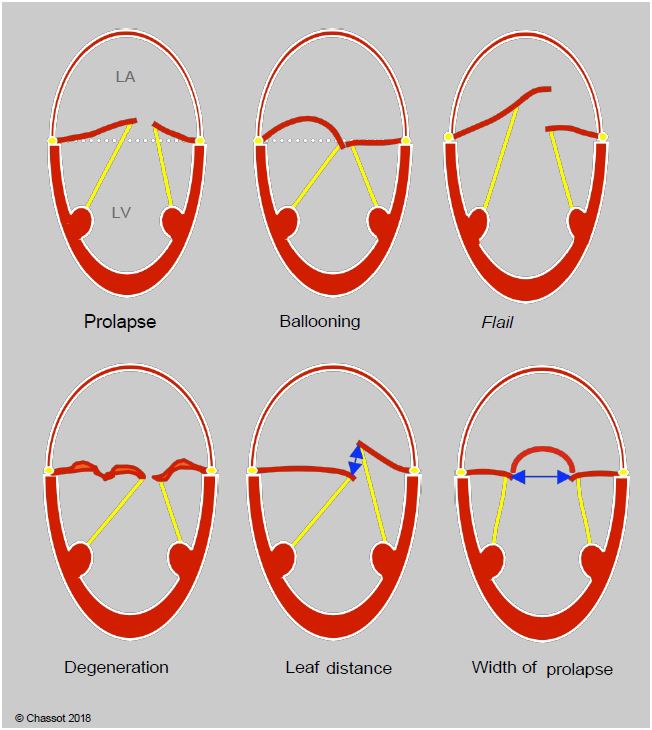 Fig11 73A en