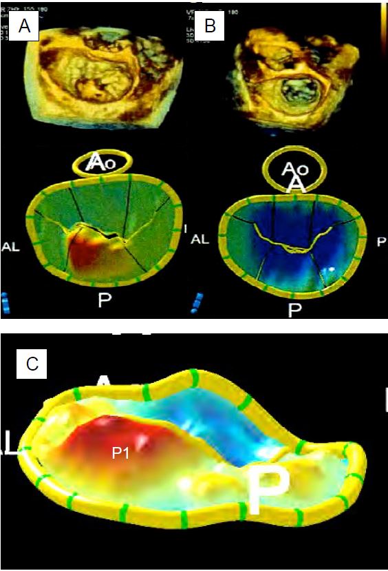 Fig11 78 en