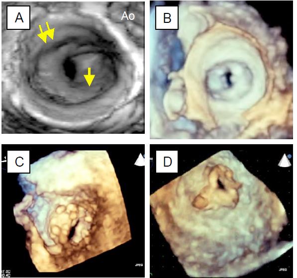 Fig11 88 en