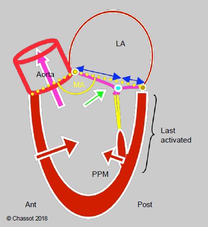 Fig13 9en